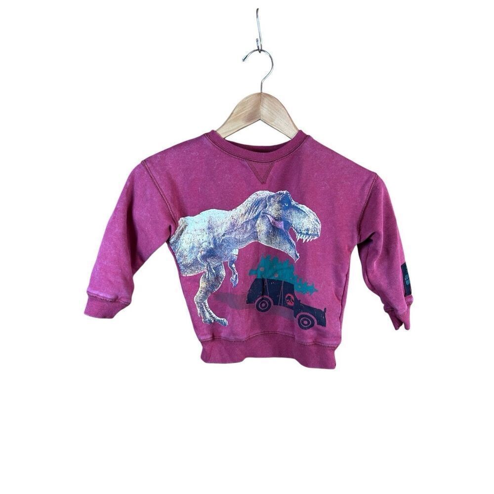 Jurassic World Universal Studios 3T Toddler Sweatshirt TRex Dinosaur